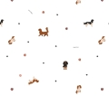 10546.jpg