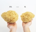 Porownanie-rozmiaru-XL-i-XXL (1).jpg