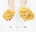 Porownanie-rozmiaru-XL-i-XXL.jpg